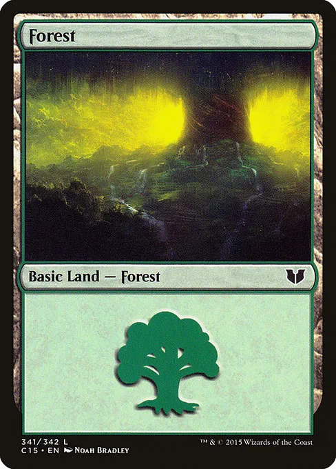 Forest - L (341)