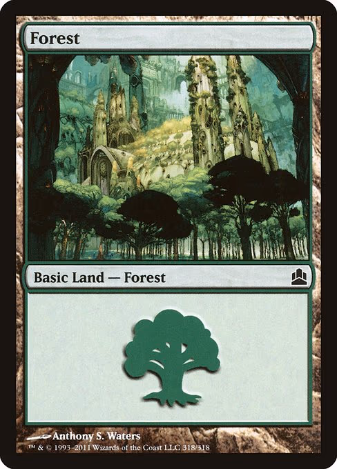 Forest - L (318)