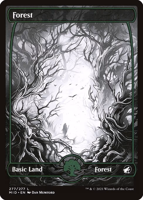 Forest - L (277)