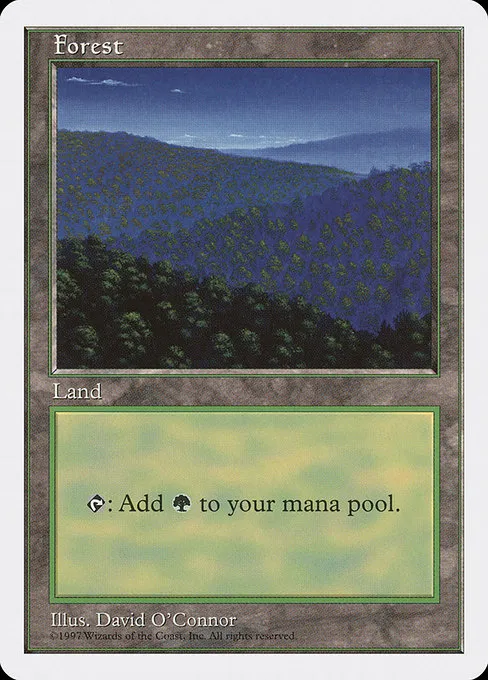 Forest - L (447)