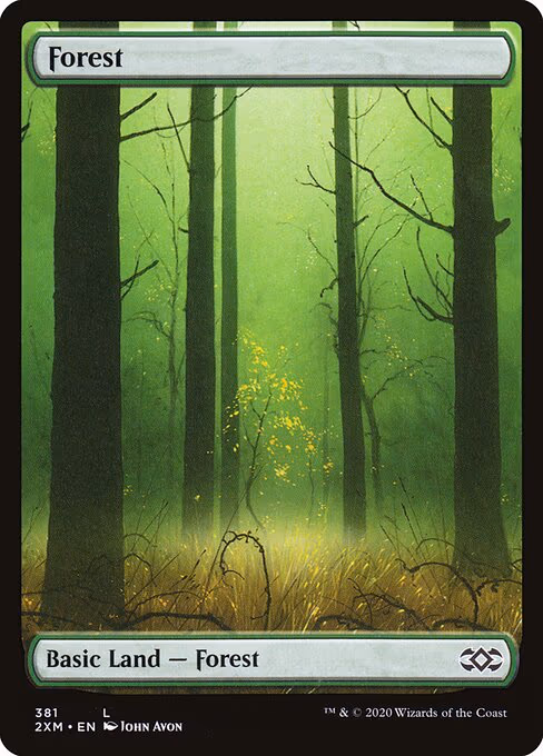 Forest - L (381)