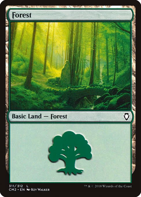 Forest - L (311)