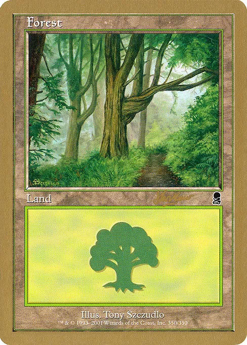 Forest - S