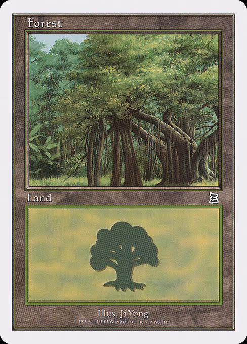 Forest - L