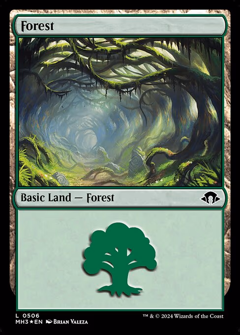 Forest - L (506)