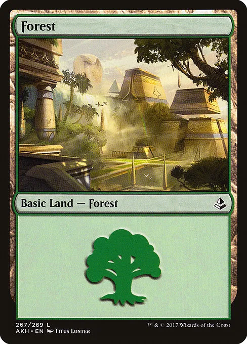 Forest - L (267)