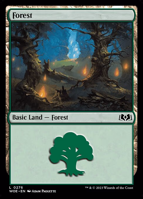Forest - L (276)