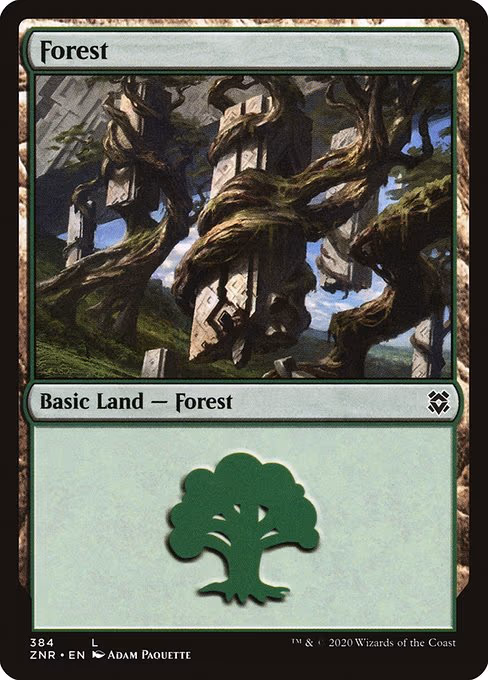 Forest - L (384)