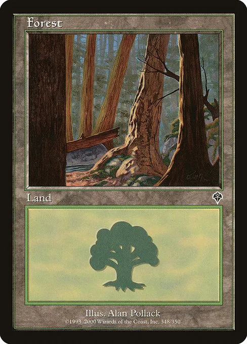 Forest - L (348)