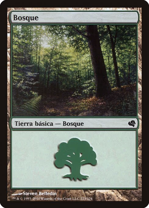 Forest (Spanish) - "Bosque"