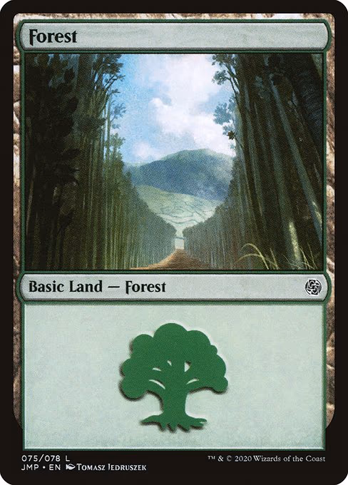 Forest - L (75)