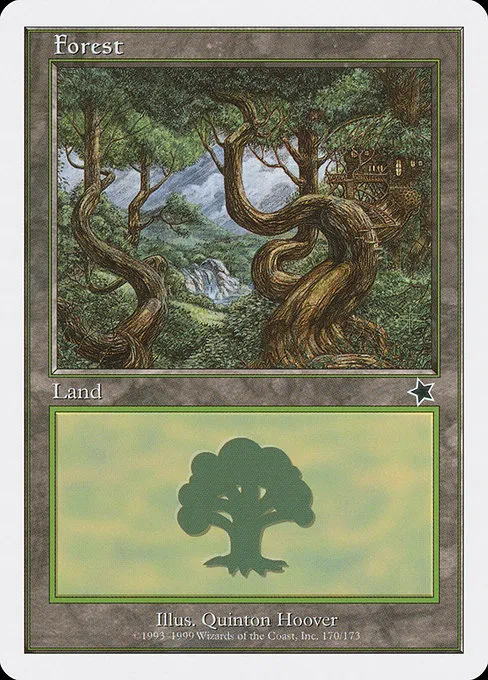 Forest - L (170)