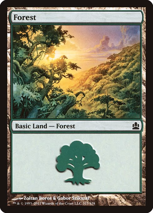 Forest - L (317)