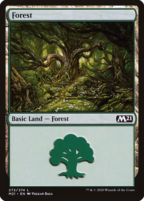 Forest - L (272)