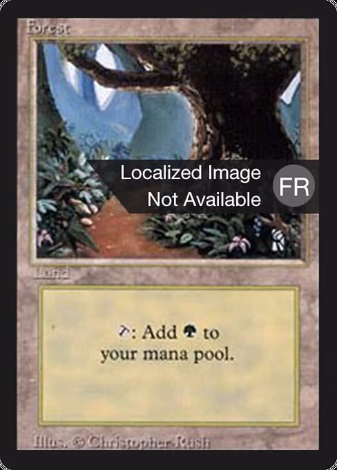 Forest - L (286)