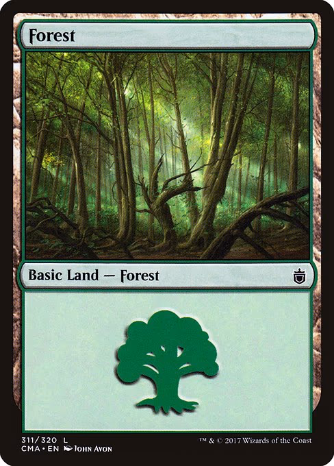 Forest - L (311)