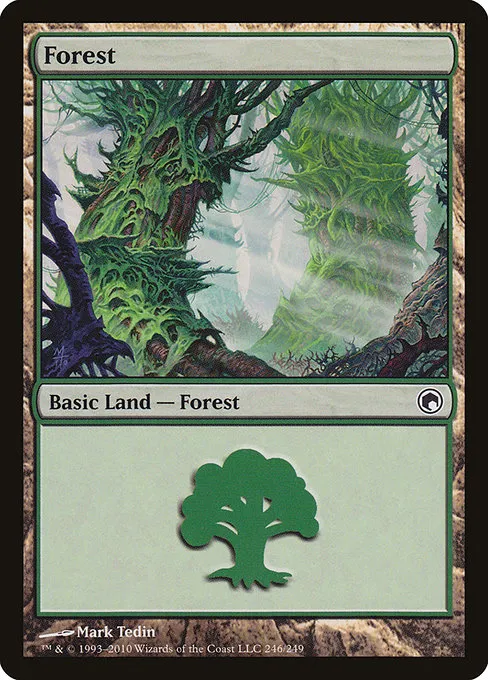 Forest - L (246)