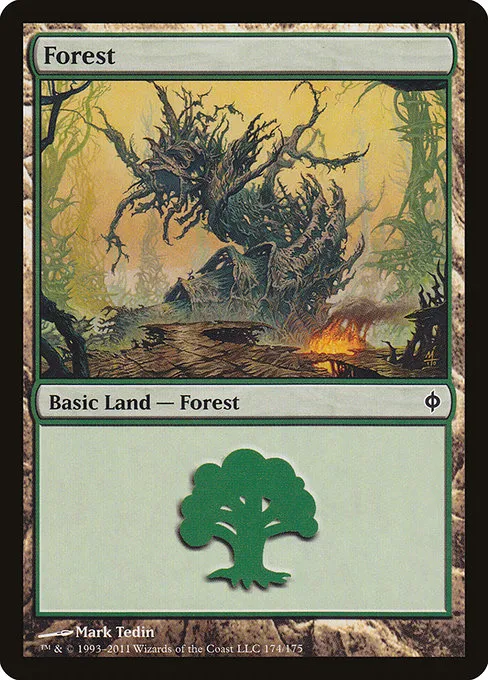 Forest - L (174)