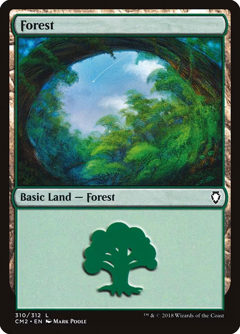 Forest - L (310)