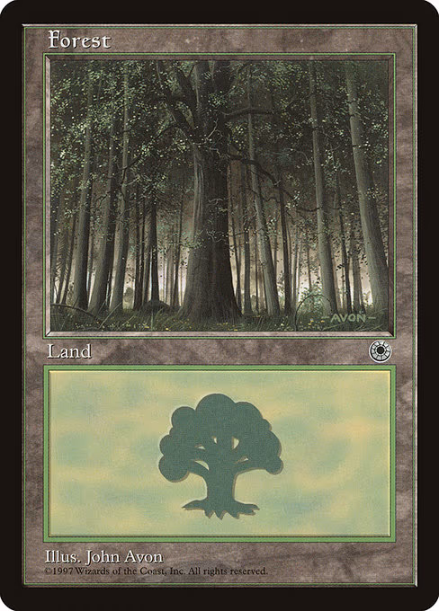 Forest (Large Middle) - L