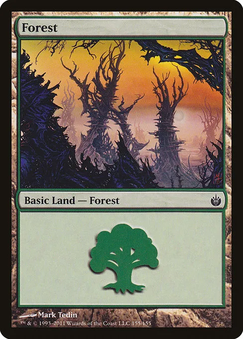 Forest - L (155)
