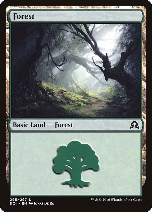 Forest - L (295)