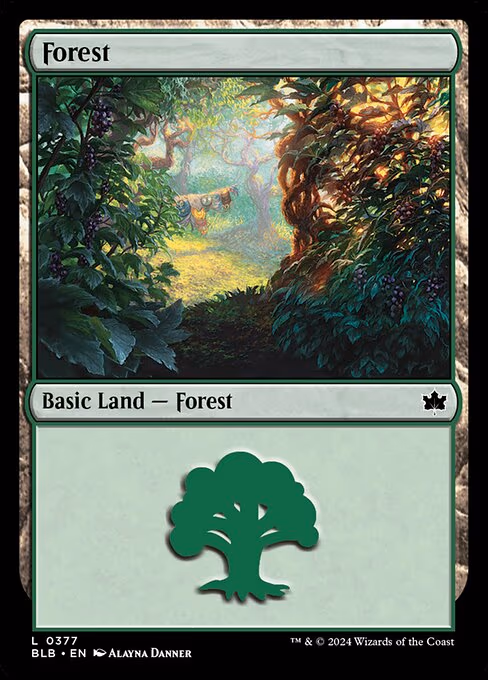 Forest - L (377)