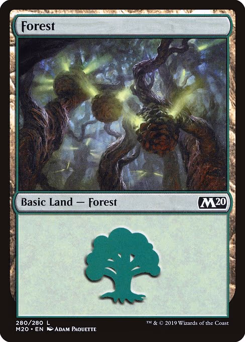 Forest - L (280)
