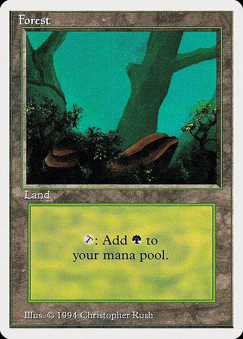Forest - L (304)