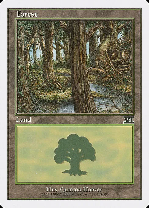 Forest - L (348)