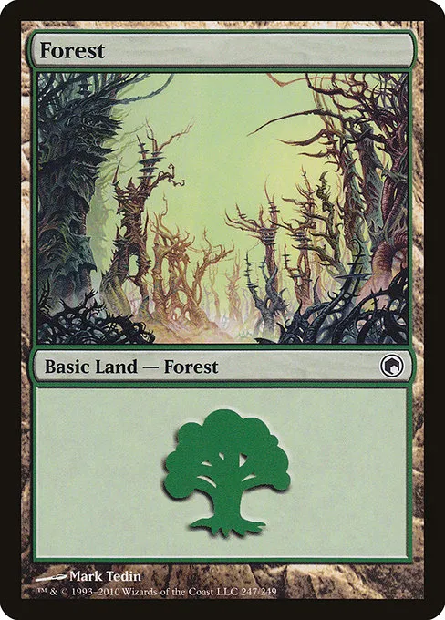 Forest - L (247)