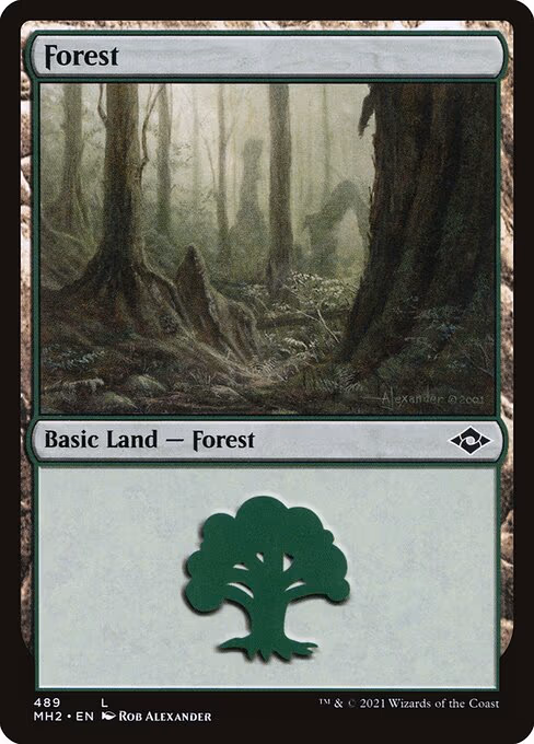 Forest - L (489)