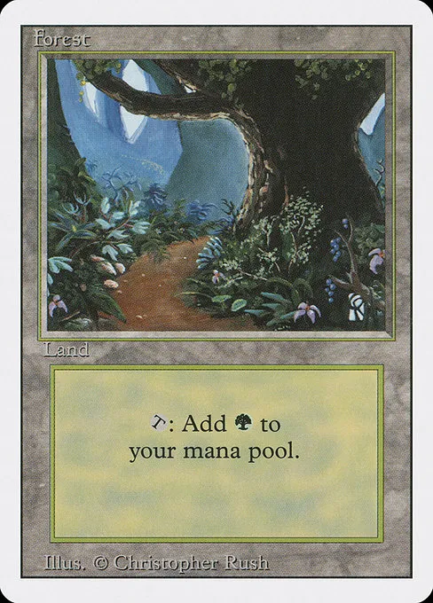 Forest - L (286)