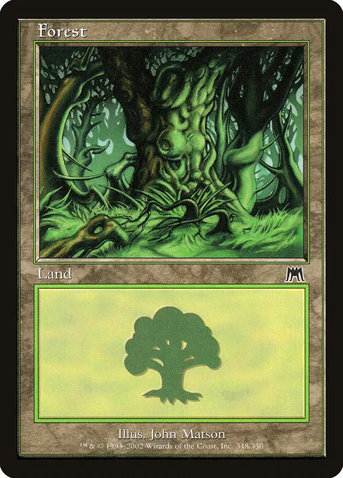 Forest - L (348)