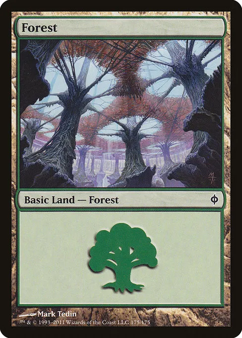 Forest - L (175)