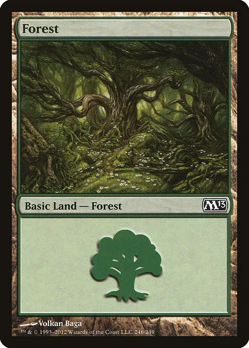 Forest - L (246)