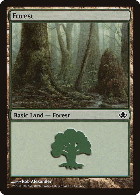 Forest