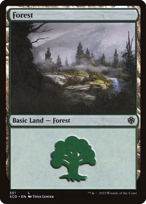 Forest - L (351)