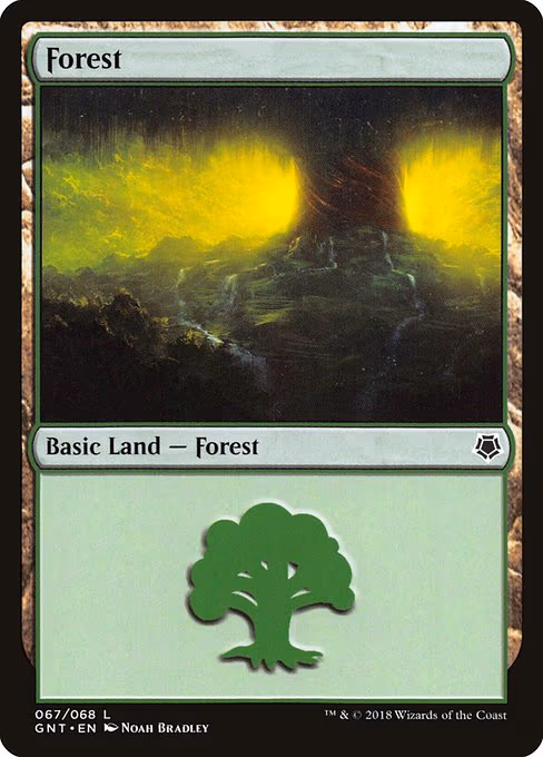 Forest