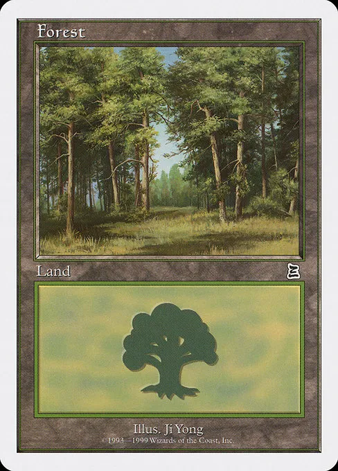 Forest - L