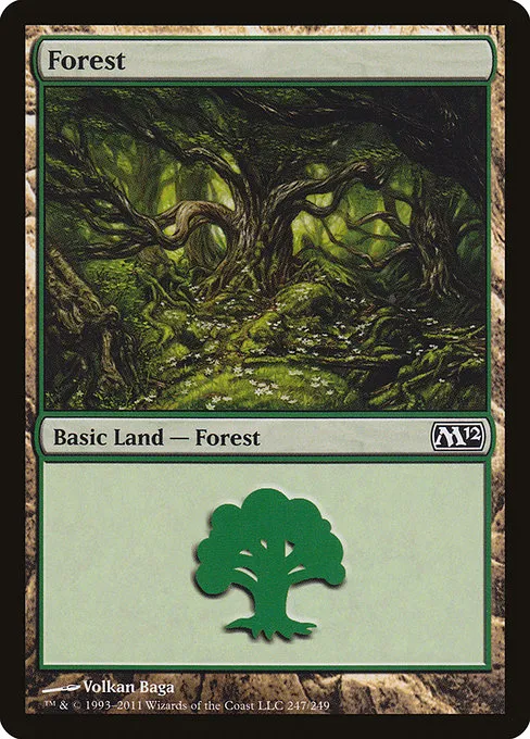Forest - L (247)