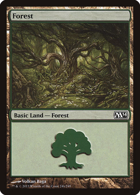 Forest - L (246)