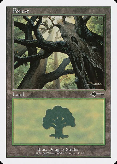 Forest - L (88)