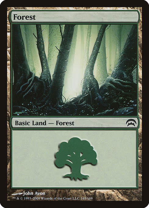 Forest - L (165)