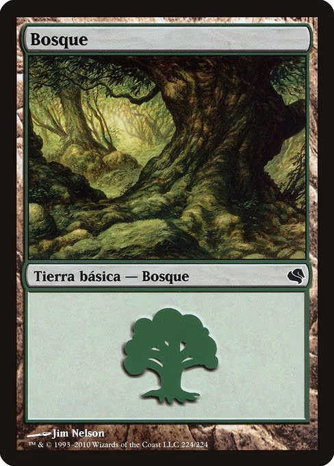 Forest (Spanish) - "Bosque"