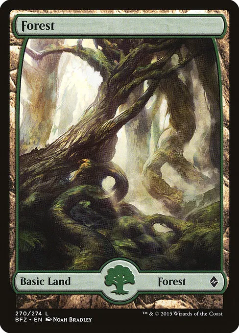 Forest - L (270)