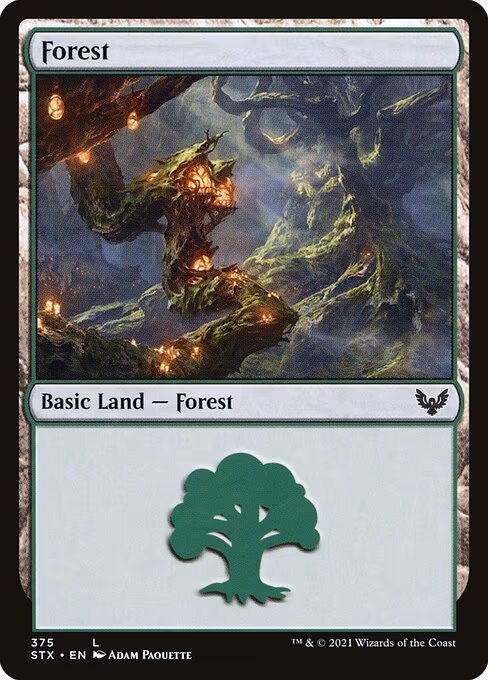Forest - L (375)