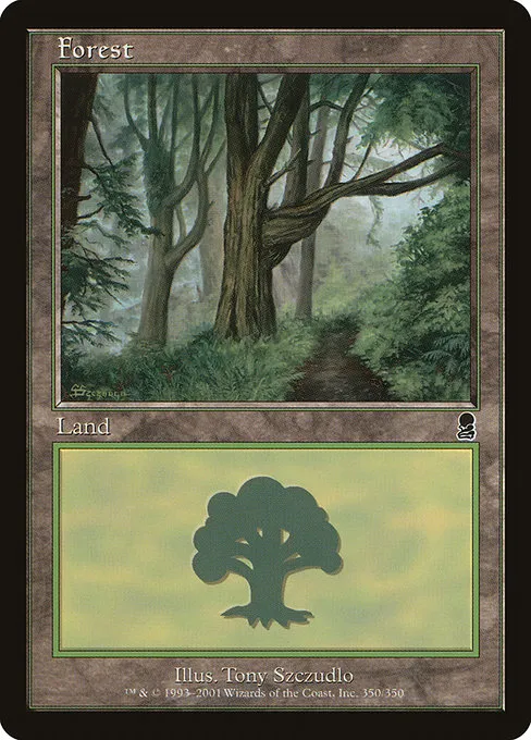 Forest - L (350)