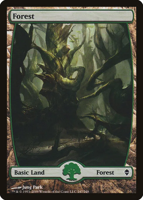 Forest - L (247)