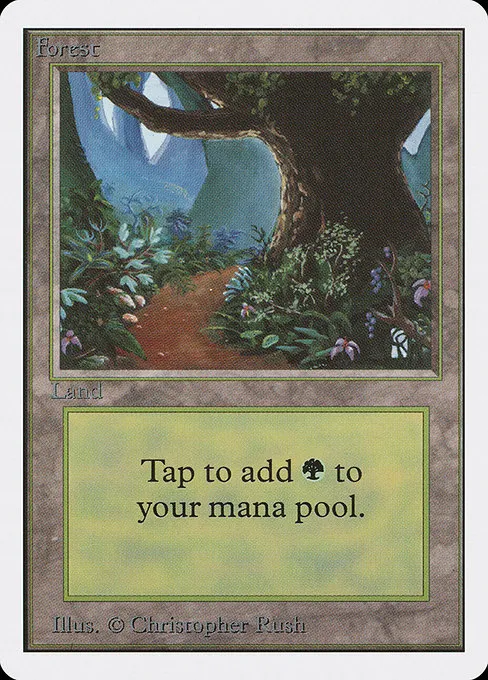 Forest - L